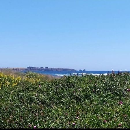 Saldemar Playa Hermosa Pichilemu Exteriér fotografie