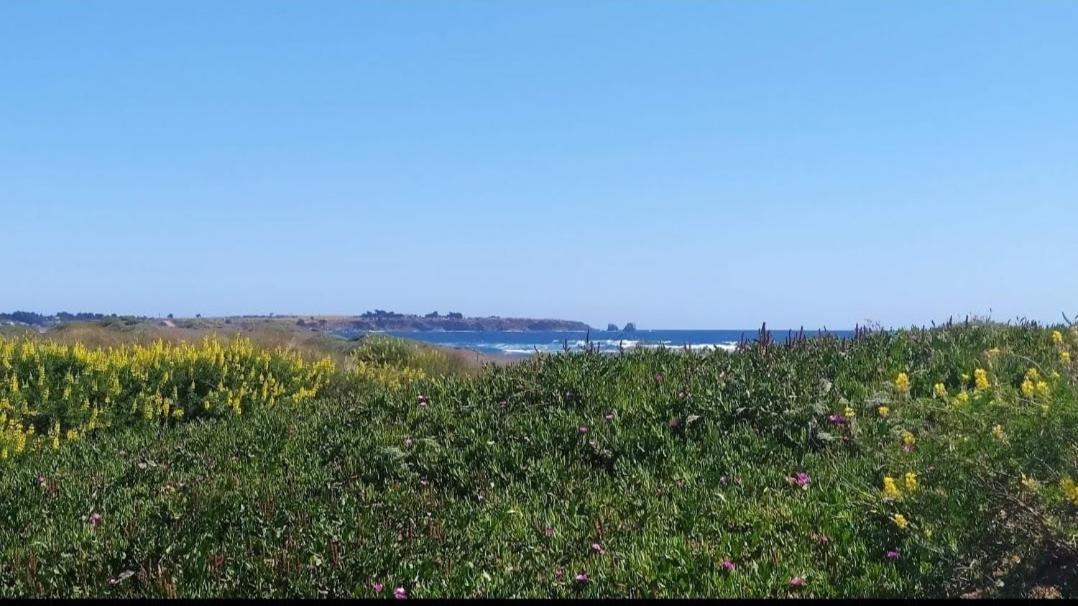 Saldemar Playa Hermosa Pichilemu Exteriér fotografie